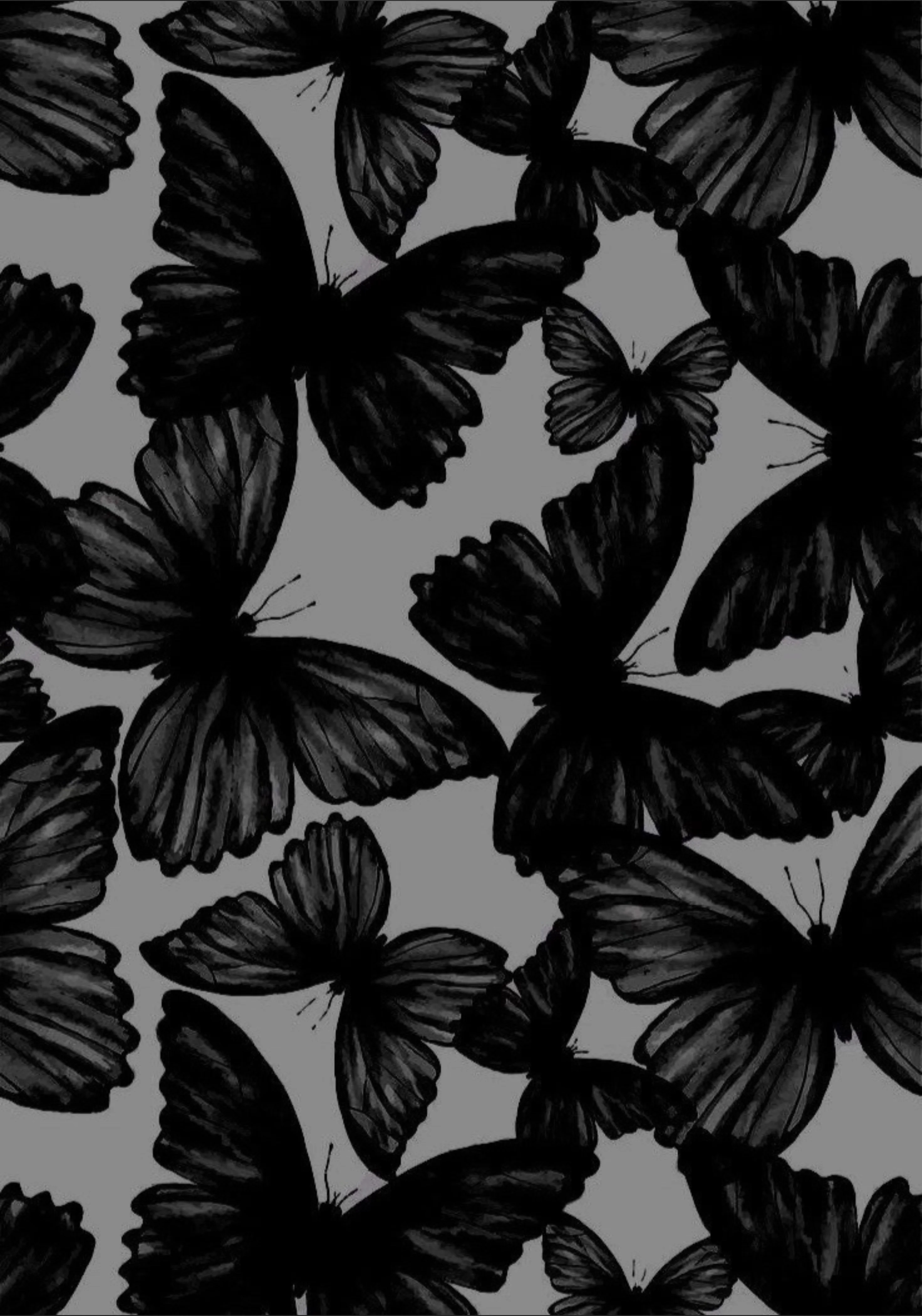 Winnie - Content Creator